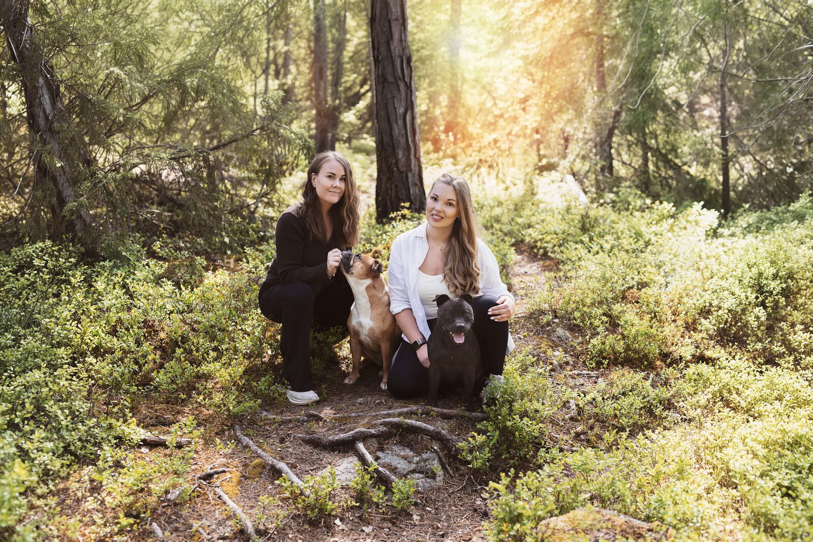 BarkBuddies og hunder i naturlige omgivelser