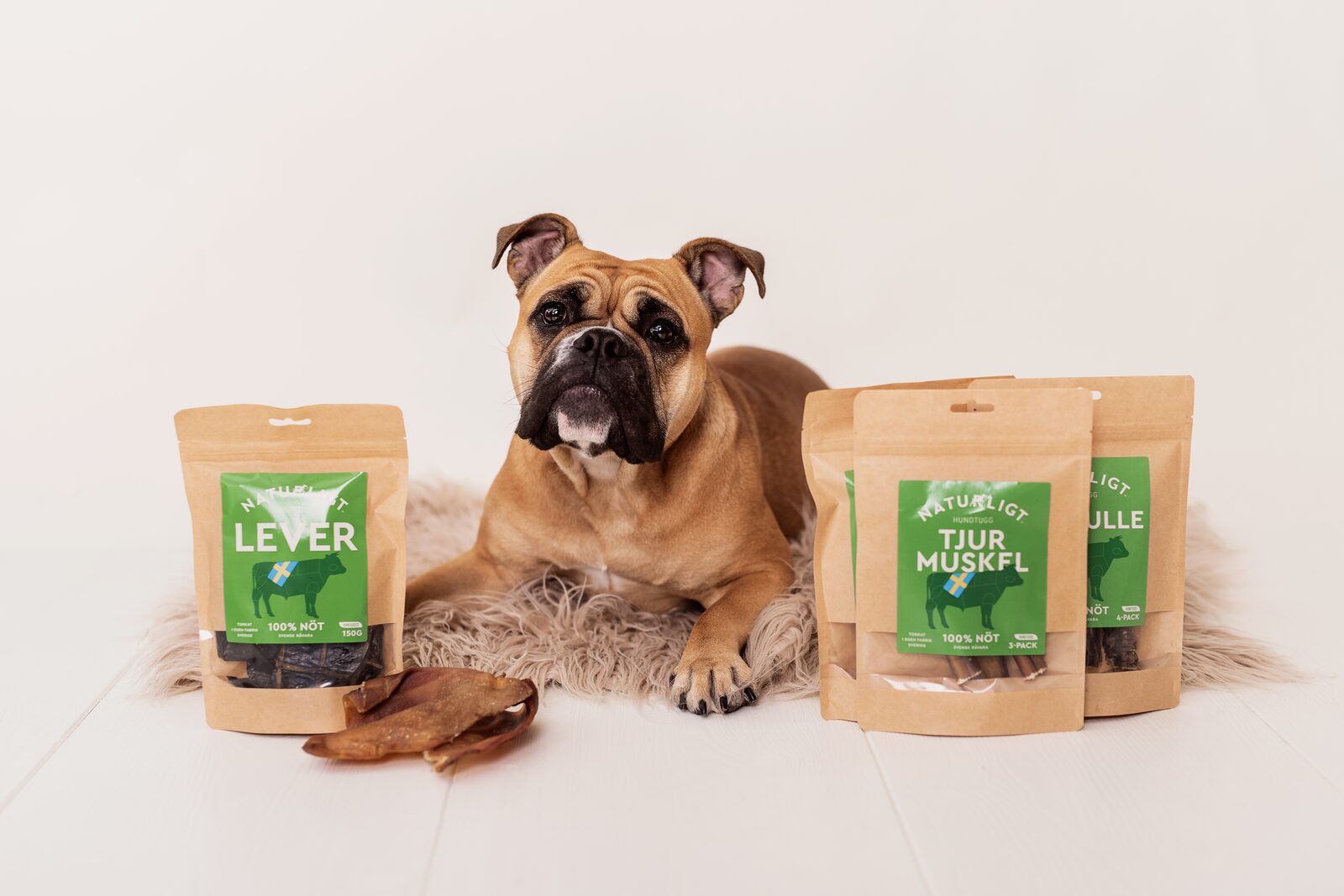 Naturlig hundegodteri: Vår store guide
